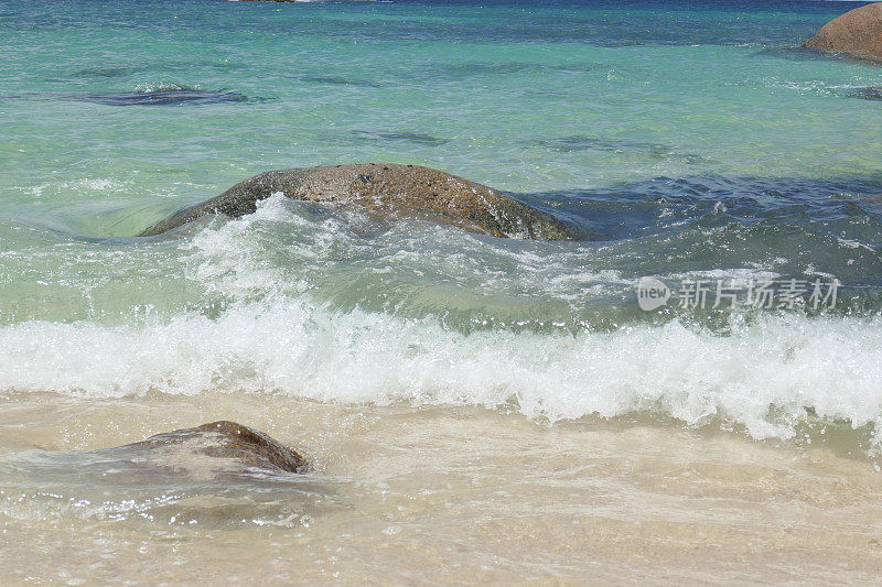 Anse Kerlan，普拉林，塞舌尔